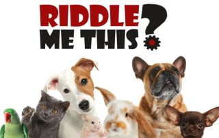 Riddle Me This: How many pets are enough?