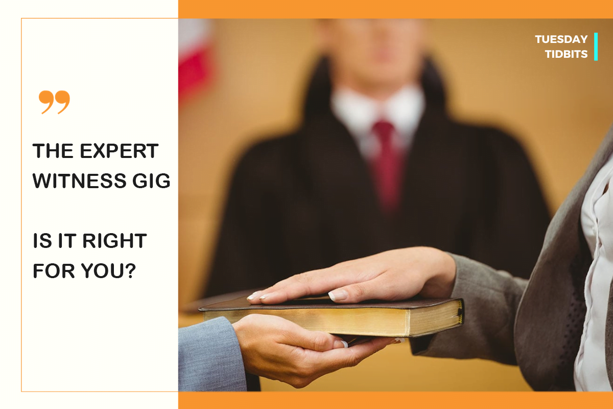 The Expert Witness Gig – Is it Right for You?