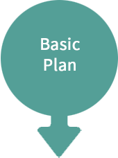 NoonPi - Basic Plan