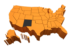 NM New Mexico Engineers PE PDH