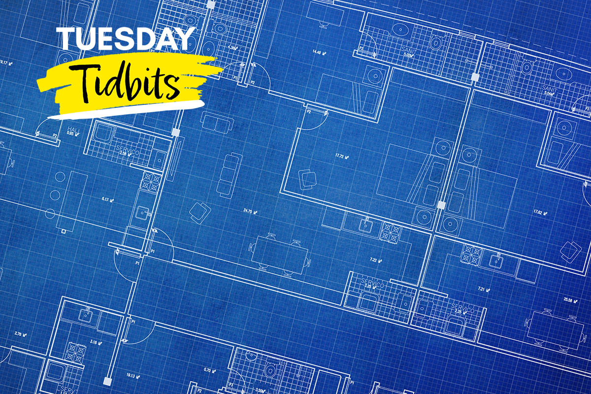Why are Blueprints Called Blueprints?